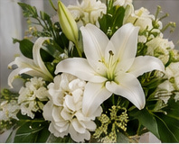 Illustrative white lilies and pale blooms